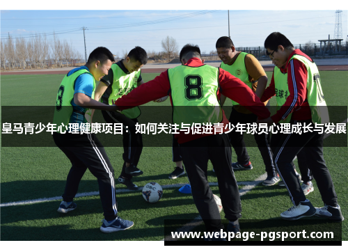皇马青少年心理健康项目：如何关注与促进青少年球员心理成长与发展