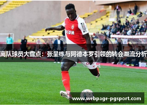 离队球员大盘点：张呈栋与阿德本罗引领的转会潮流分析