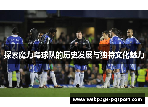 探索魔力鸟球队的历史发展与独特文化魅力