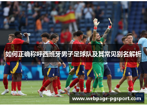 如何正确称呼西班牙男子足球队及其常见别名解析