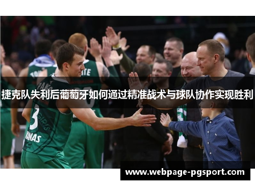 捷克队失利后葡萄牙如何通过精准战术与球队协作实现胜利