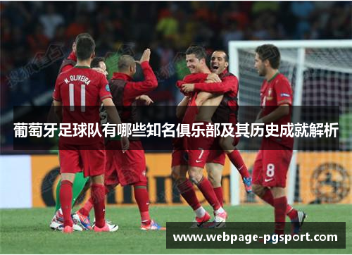 葡萄牙足球队有哪些知名俱乐部及其历史成就解析
