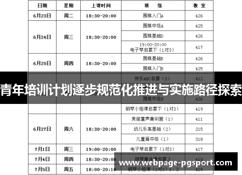 青年培训计划逐步规范化推进与实施路径探索