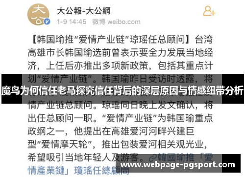 魔鸟为何信任老马探究信任背后的深层原因与情感纽带分析